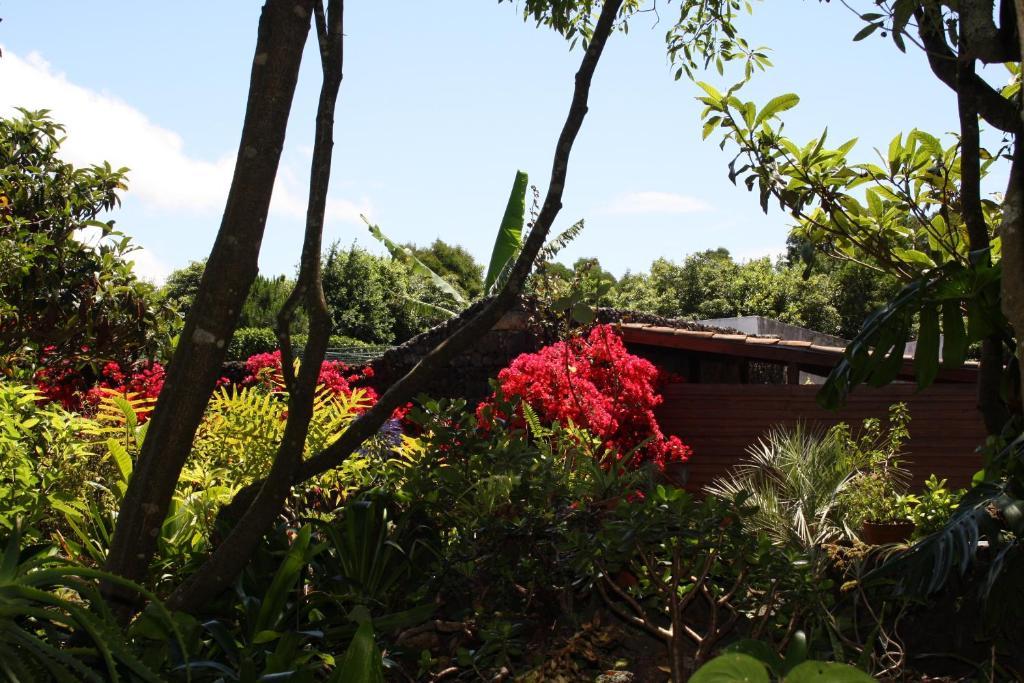 Quinta De Sao Caetano - Sao Miguel Acores Populo  Exterior foto
