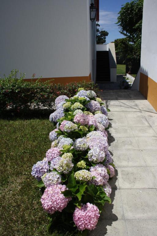 Quinta De Sao Caetano - Sao Miguel Acores Populo  Habitación foto